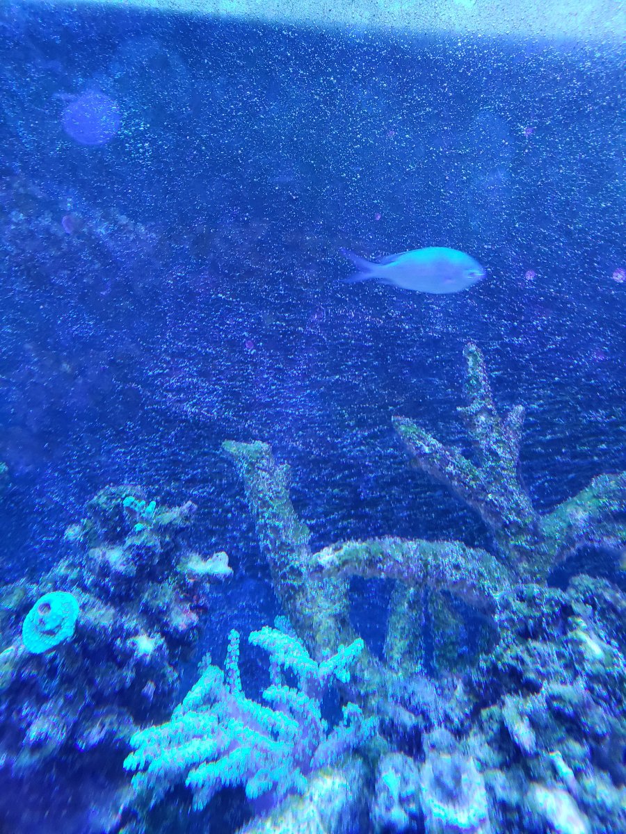 20190211_154739.jpg