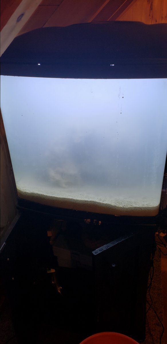 20190211_225516.jpg