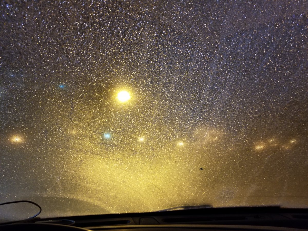 20190214_061655.jpg