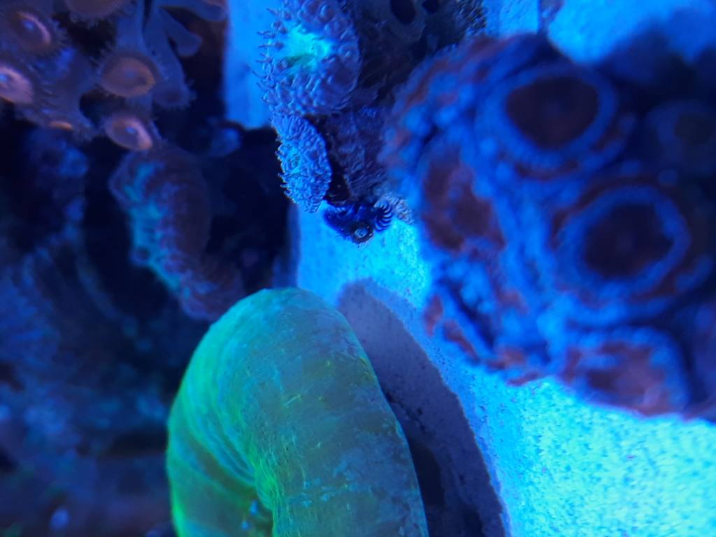 20190214_112003.jpeg