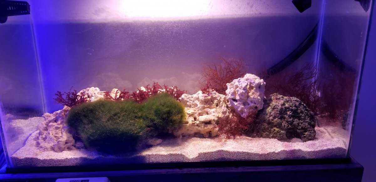 20190215_202201.jpg