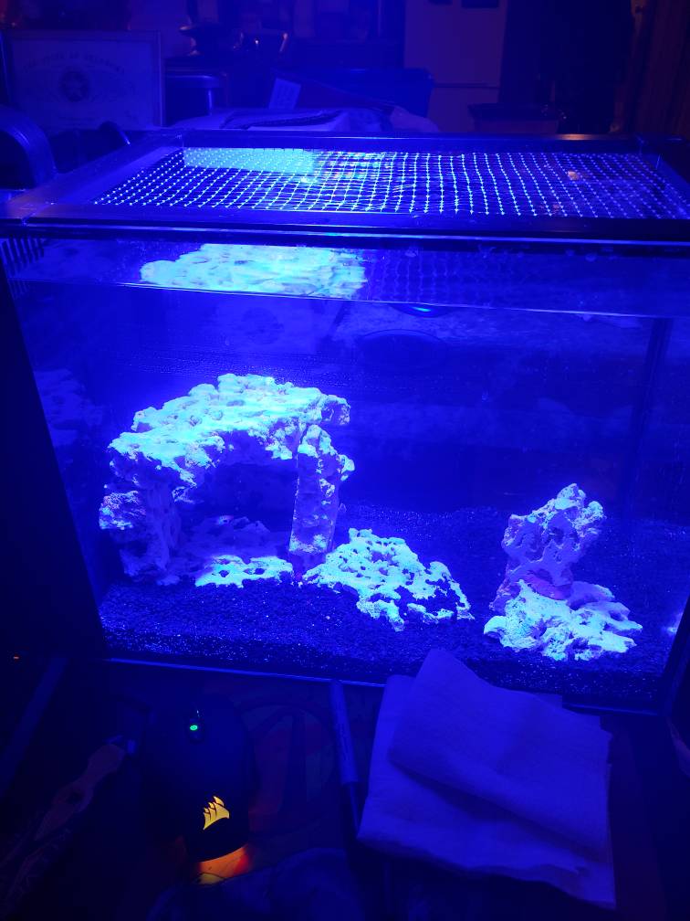 20190215_224214.jpeg