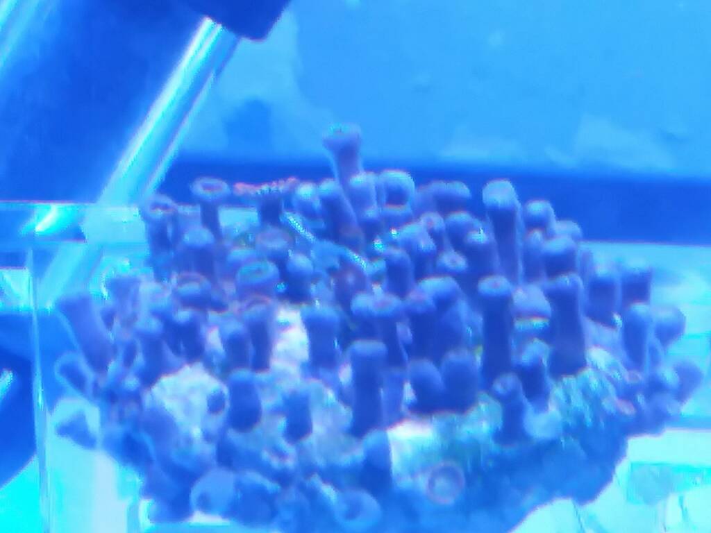 20190216_083151.jpeg