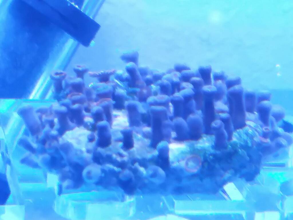 20190216_083216.jpeg