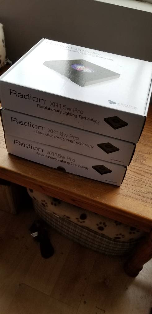 20190216_140535.jpeg