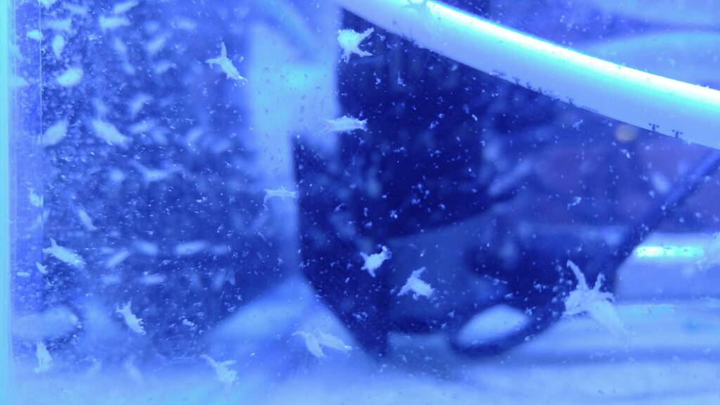 20190216_215722.jpeg