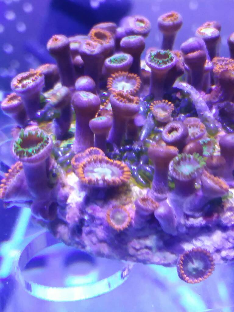 20190217_104549.jpeg