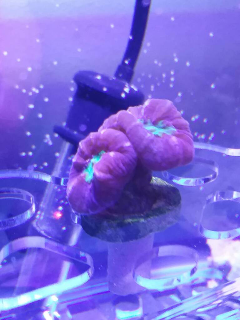 20190217_104701.jpeg