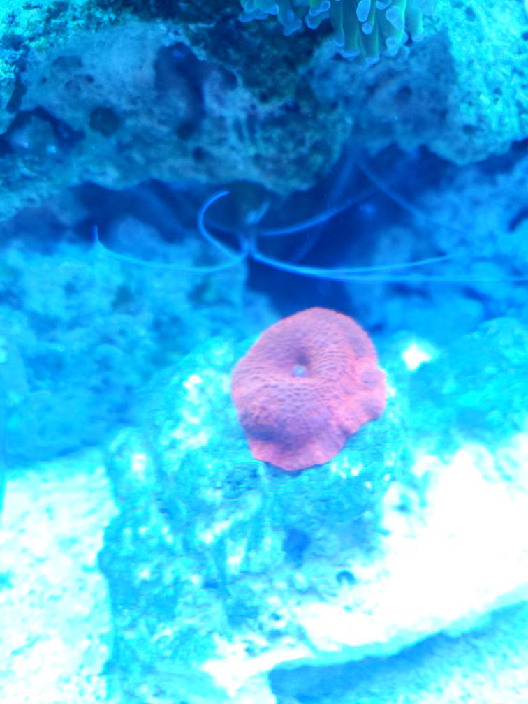 20190217_144420.jpeg