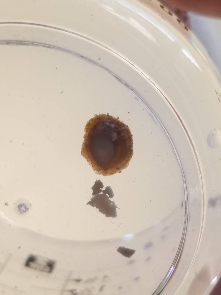 20190217_163131.jpeg