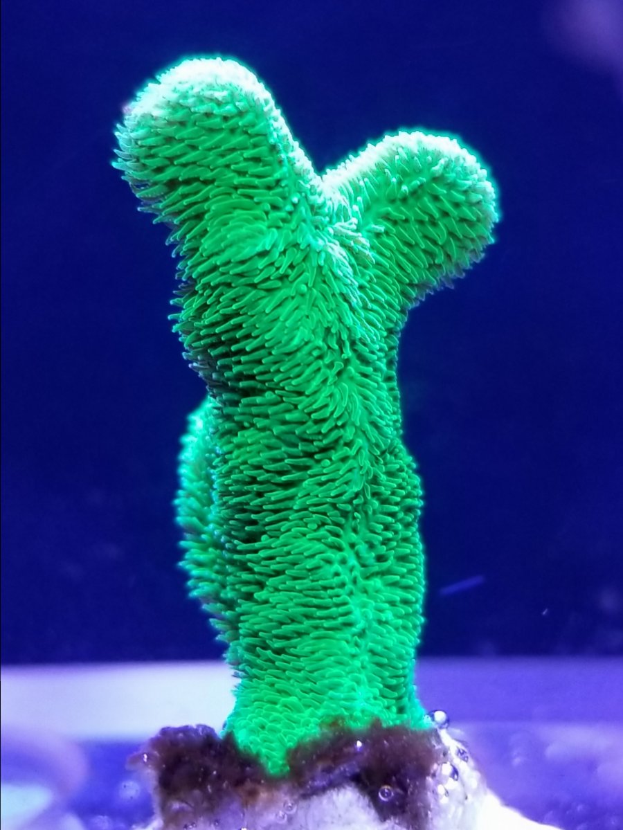20190218_135701.jpg