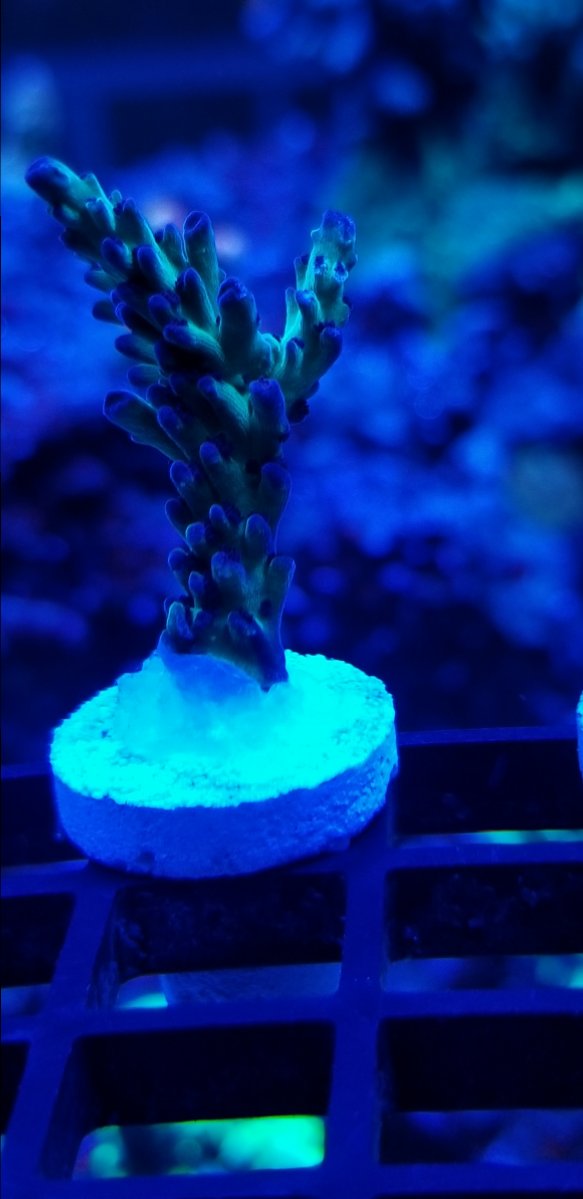 20190218_201544.jpg