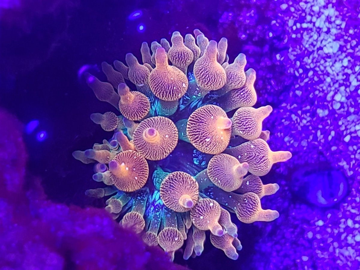 20190219_082437.jpg