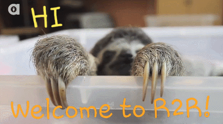 20190219_145850.gif