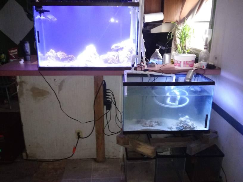 20190220_161259.jpeg