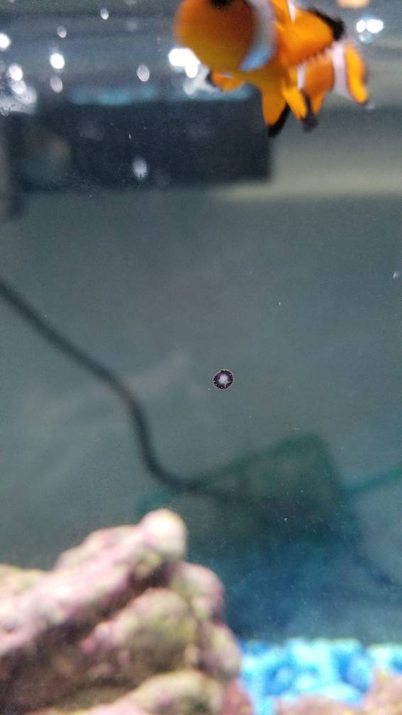 20190220_171039.jpeg