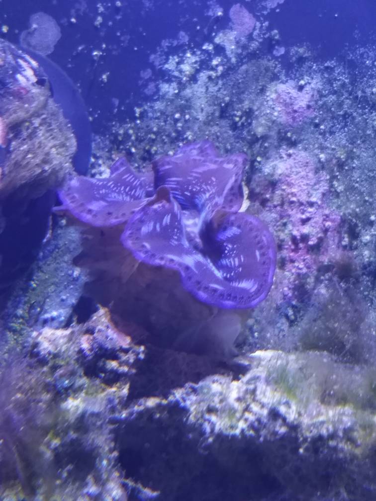 20190220_211523.jpeg