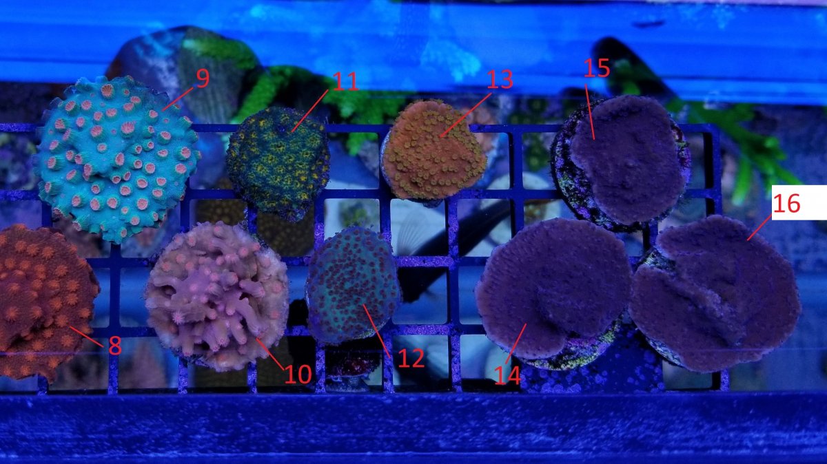 20190221_155259.jpg