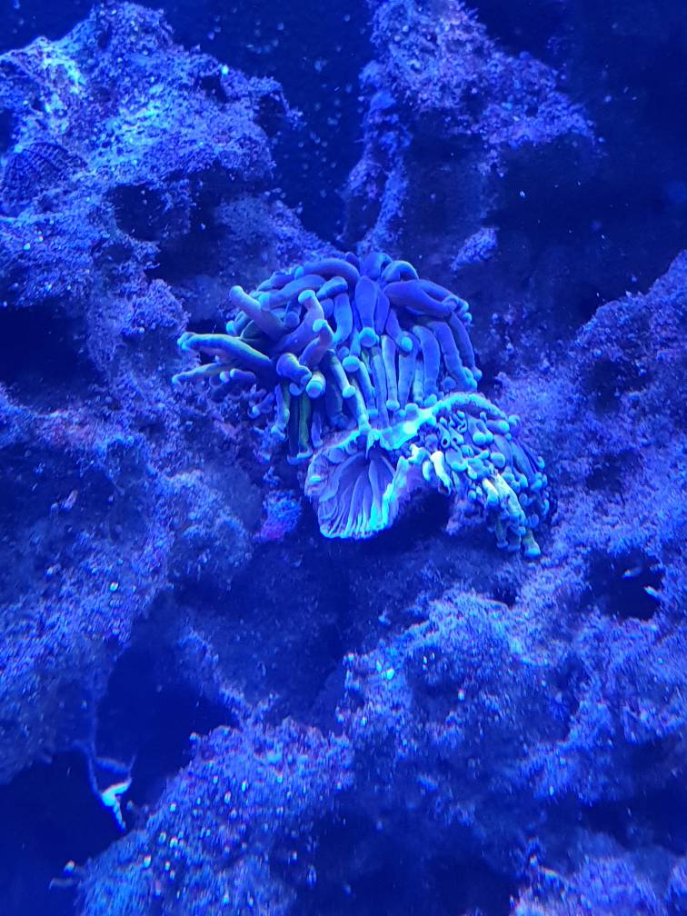 20190221_184733.jpeg