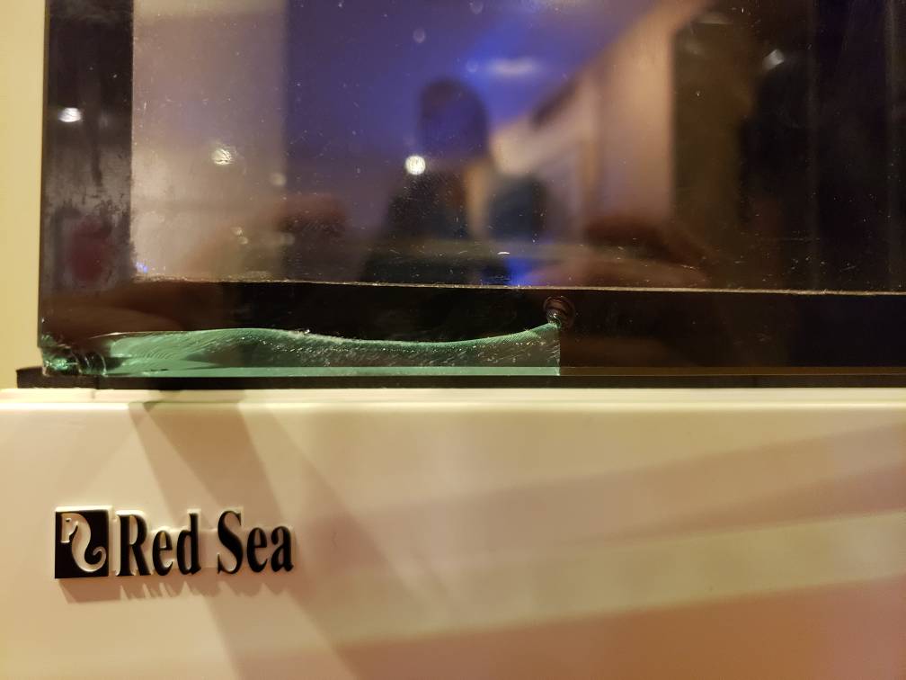 20190221_193457.jpeg