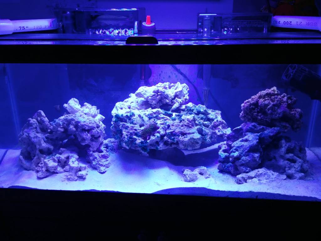 20190222_103442_HDR.jpeg
