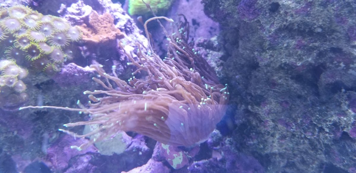 20190223_155440.jpg