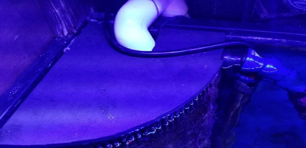 20190226_175918.jpeg