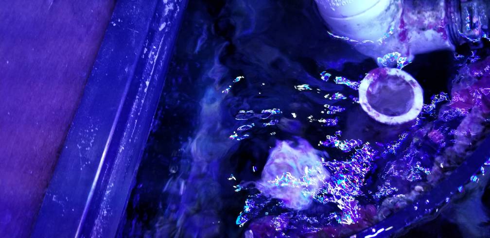 20190226_175948.jpeg