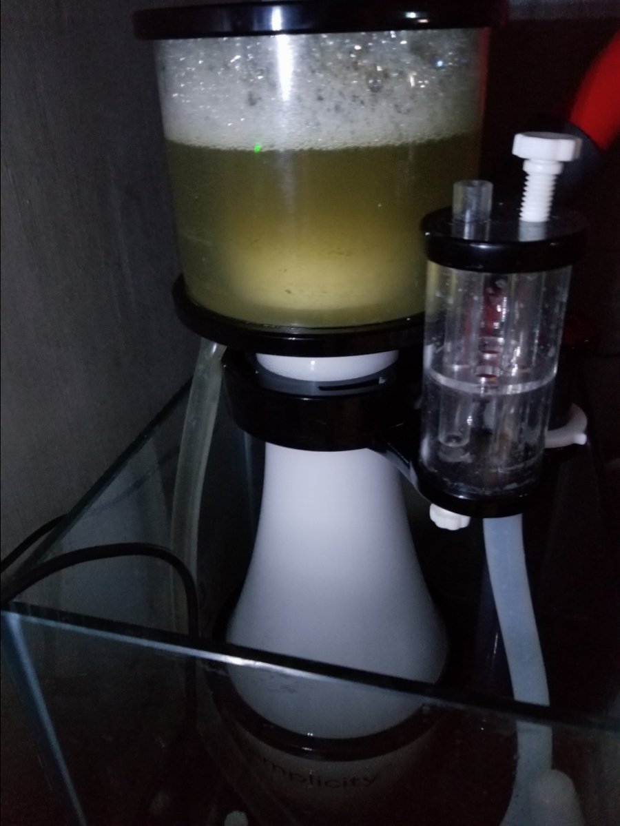 20190227_054808.jpg