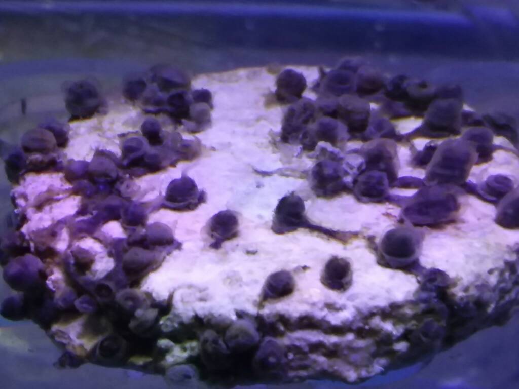 20190227_103211.jpeg
