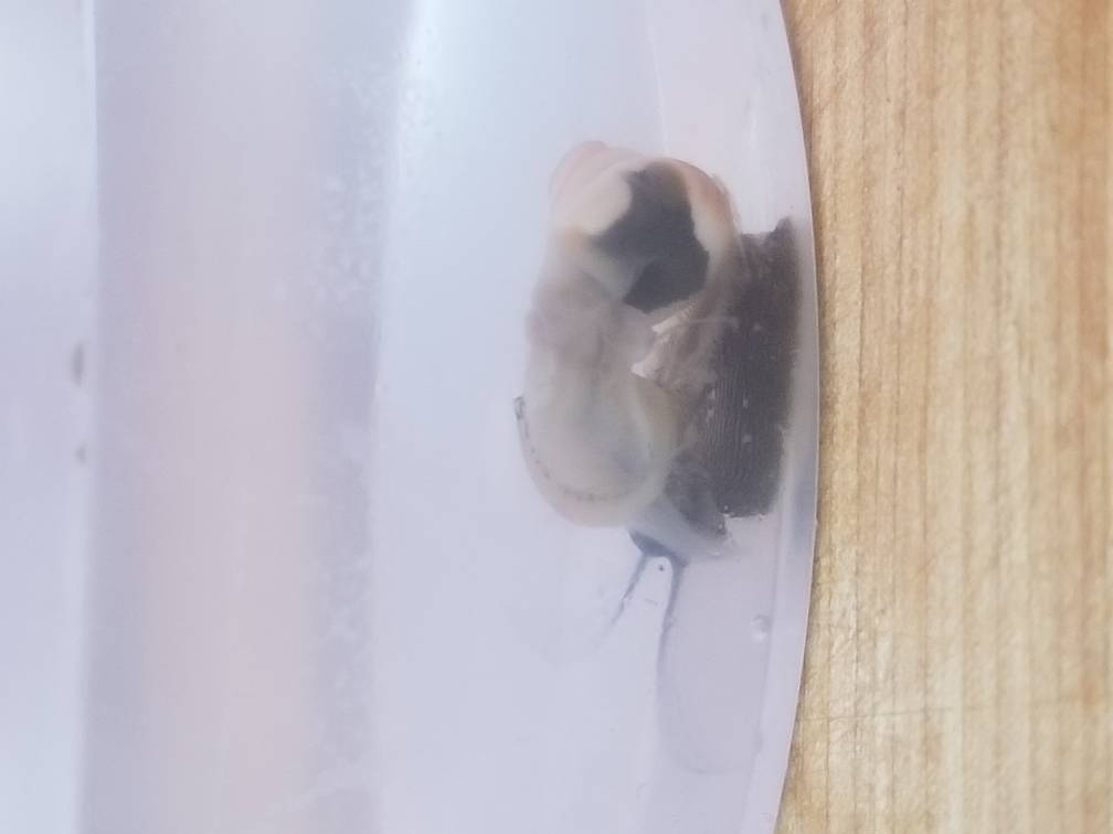 20190227_164245.jpeg