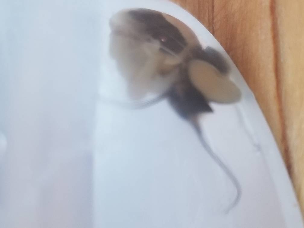 20190227_164257.jpeg