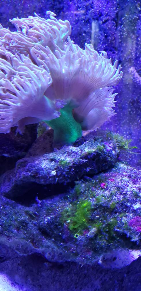 20190301_164411.jpeg
