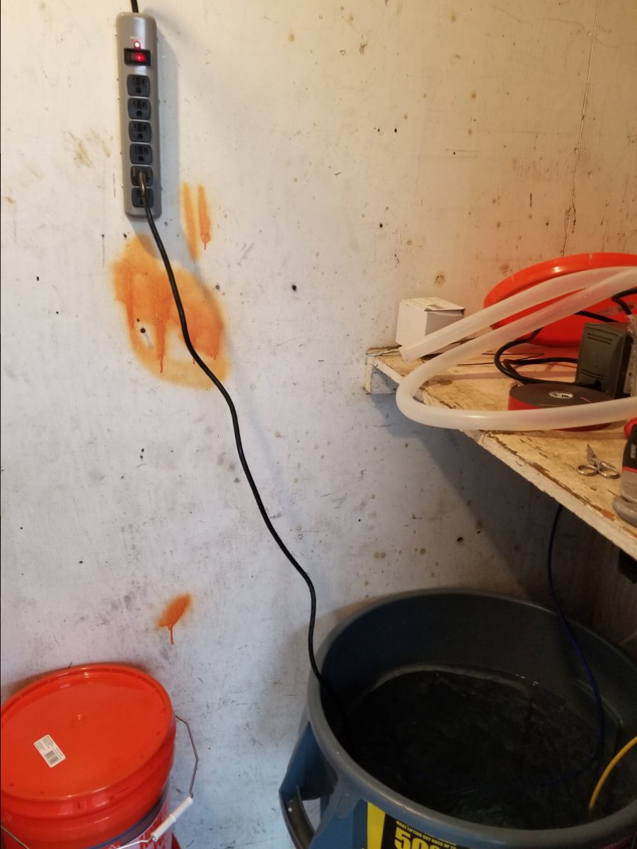 20190302_165451.jpg