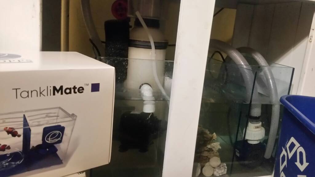 20190302_234228.jpeg