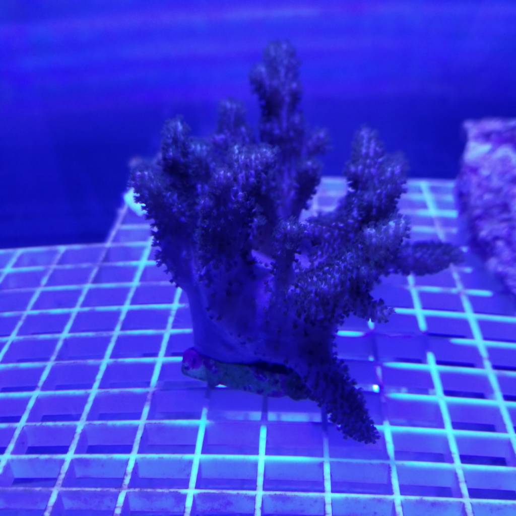 20190303_124439.jpeg