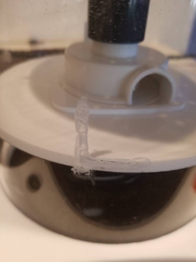 20190303_150034.jpeg