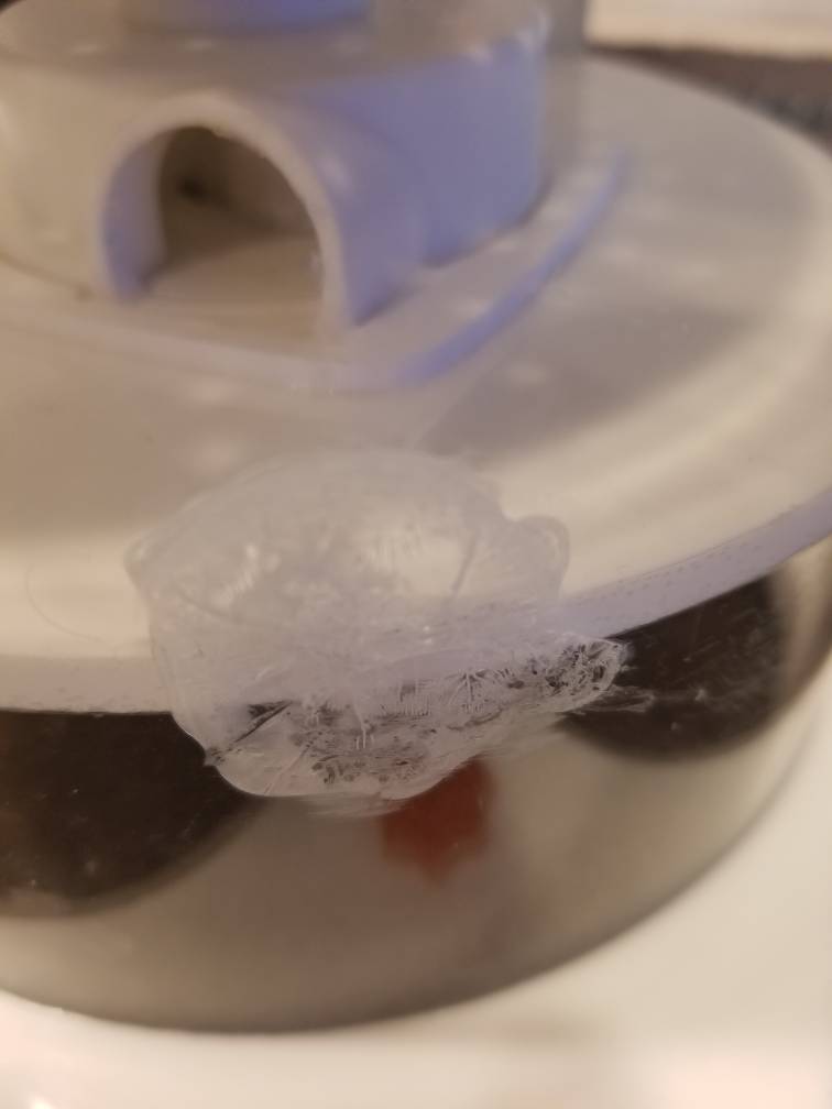 20190303_150041.jpeg
