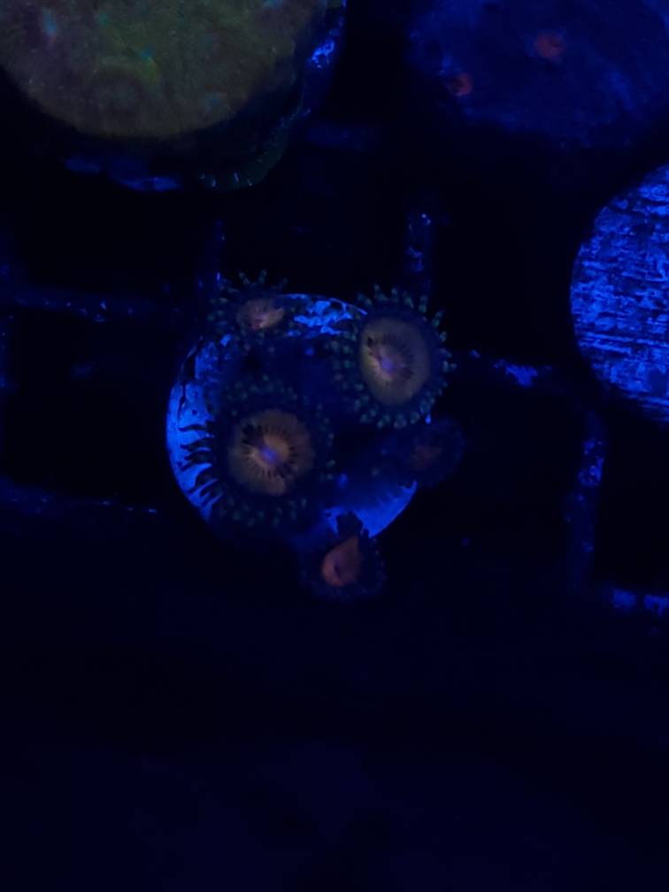 20190303_191934.jpeg