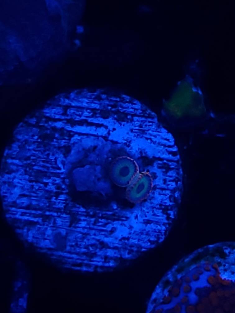 20190303_191944.jpeg