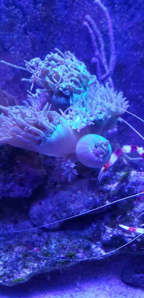 20190304_144456.jpeg