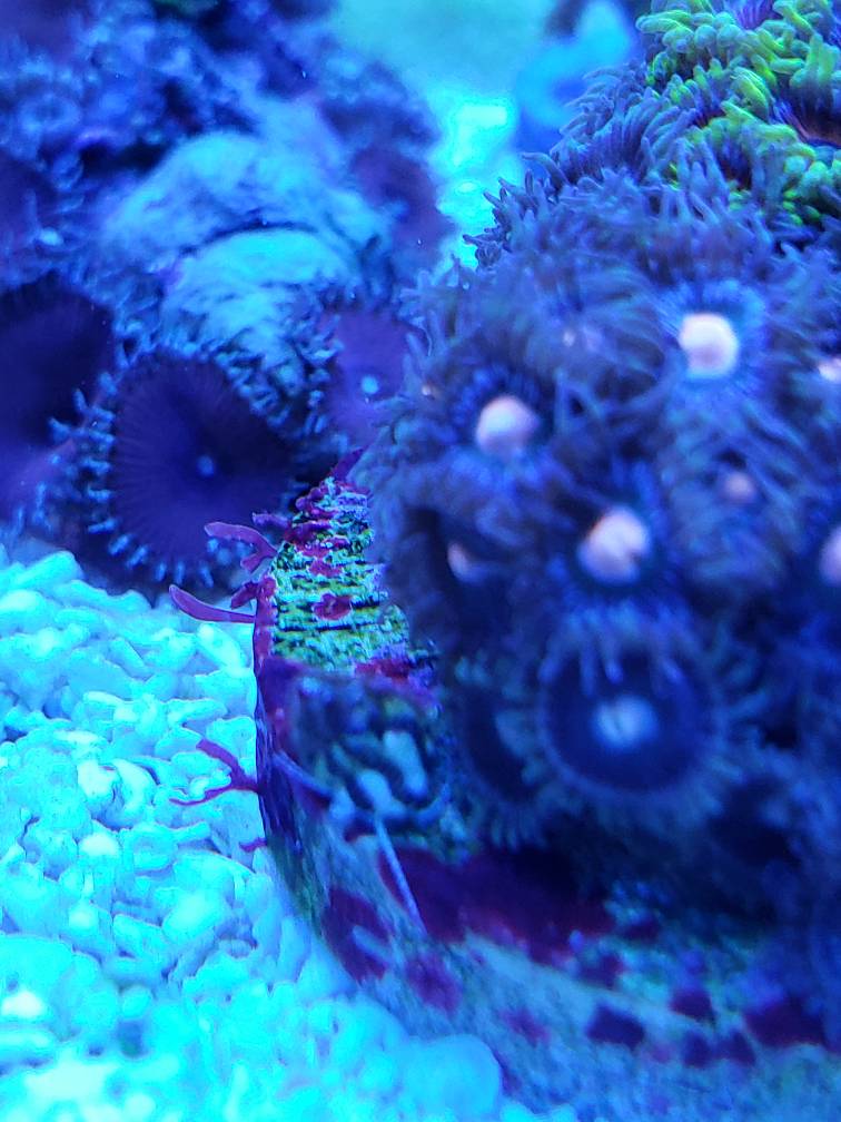 20190305_165824.jpeg