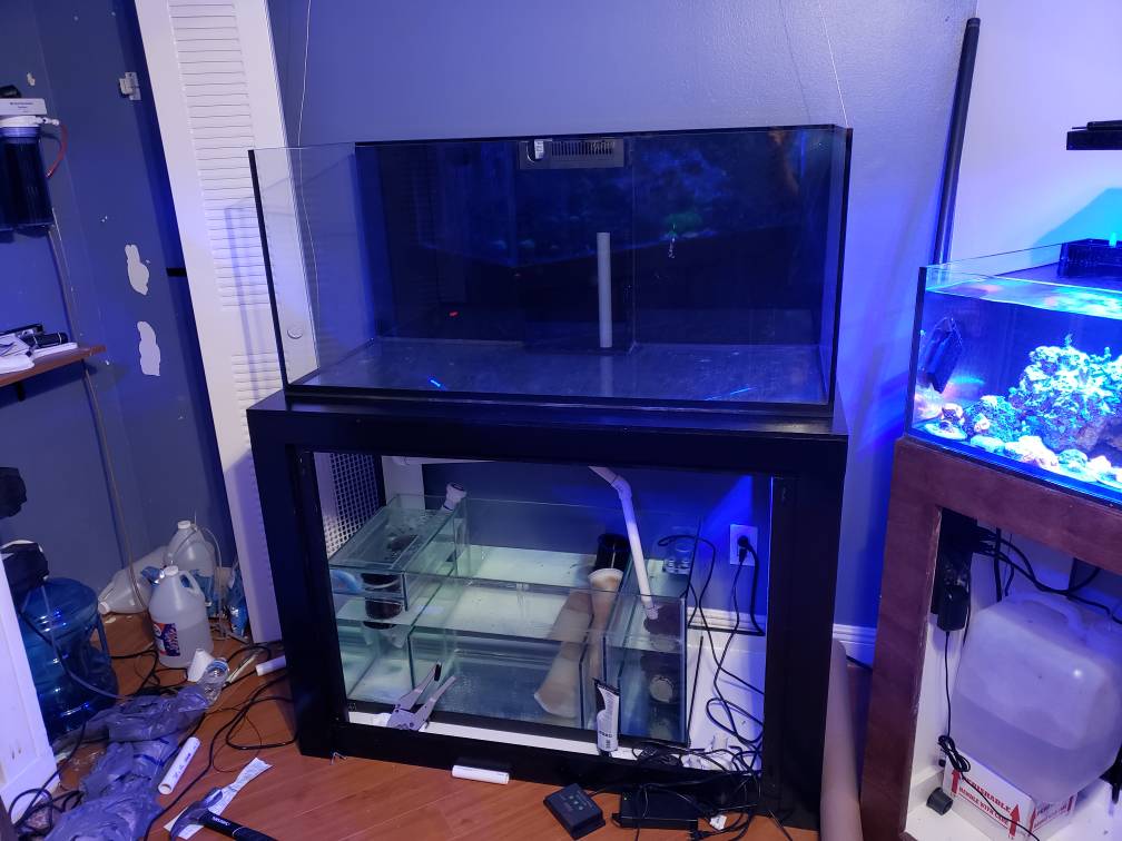 20190305_205109.jpeg