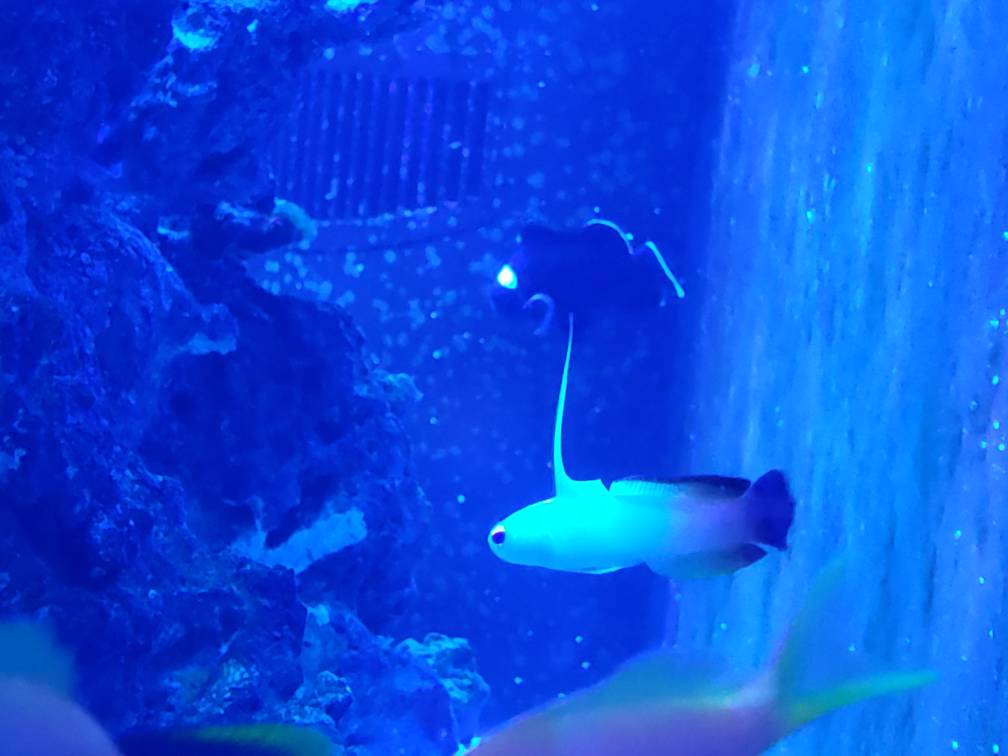 20190306_211907.jpeg