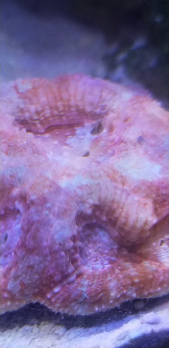 20190306_223404.jpg