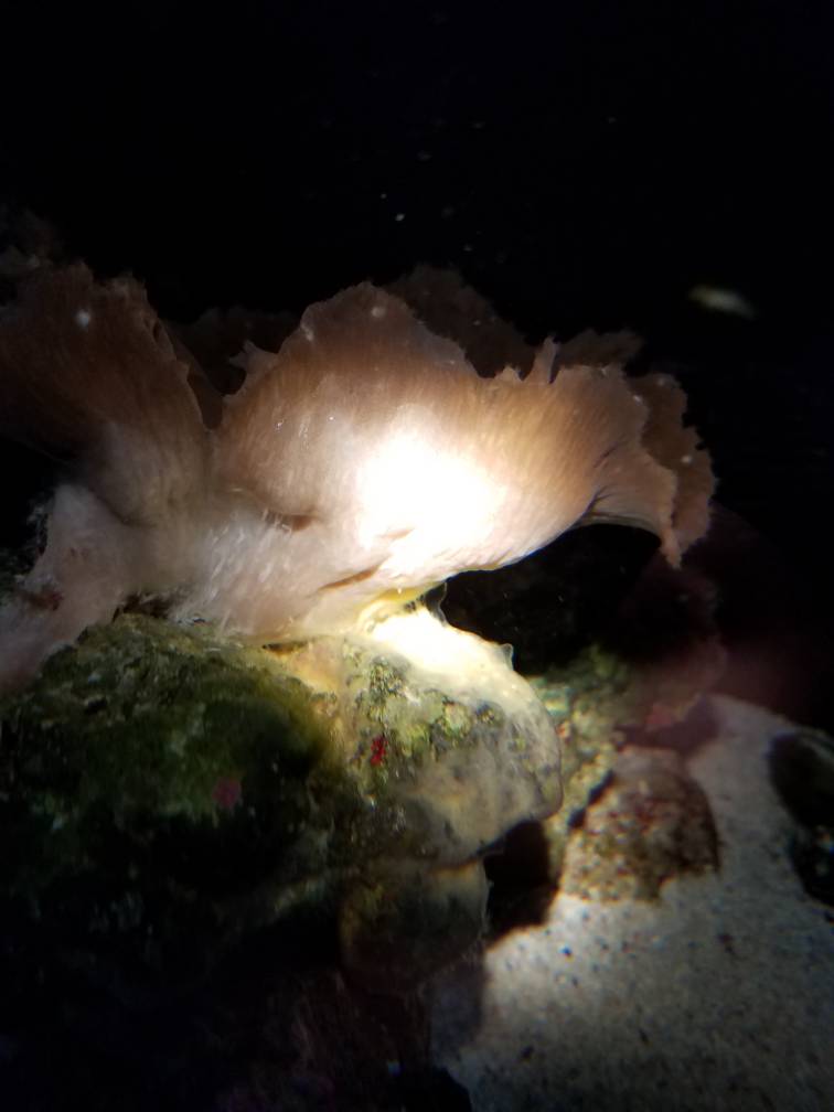 20190307_082301.jpeg