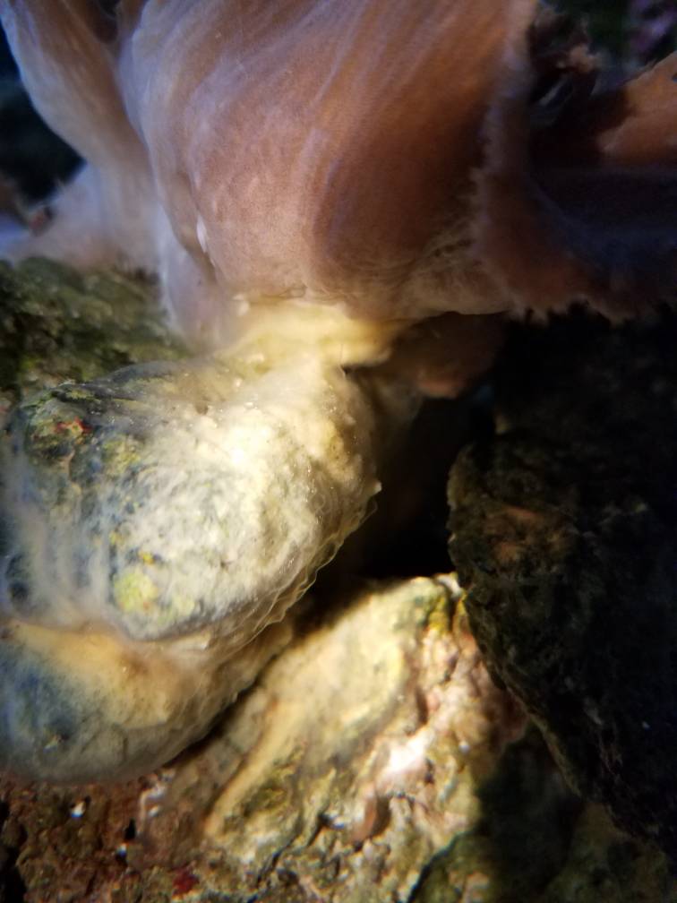 20190307_082332.jpeg