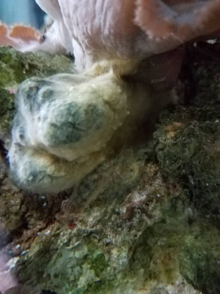20190307_082339.jpeg