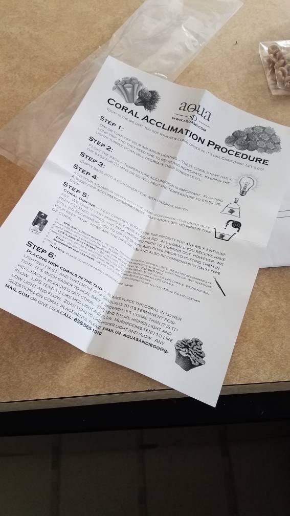 20190307_095652.jpeg