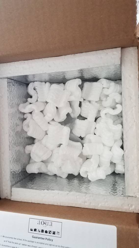 20190307_095703.jpeg